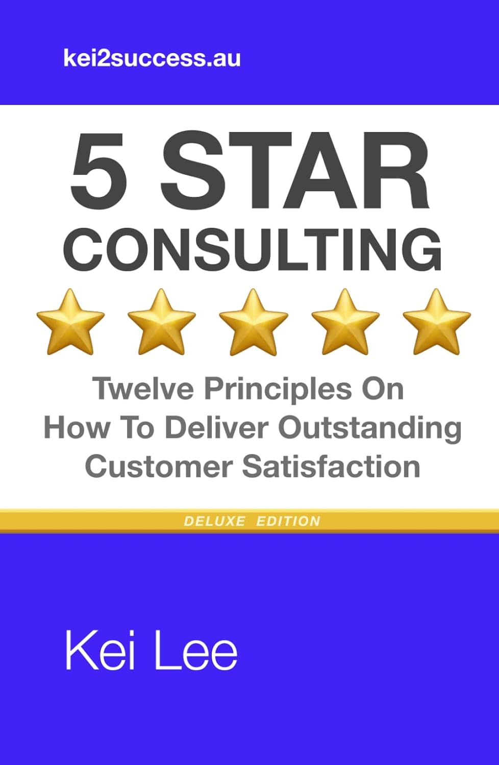 5 Star Consulting: Twelve Principles for Technical Consultants on How To Deliver Outstanding Customer Satisfaction