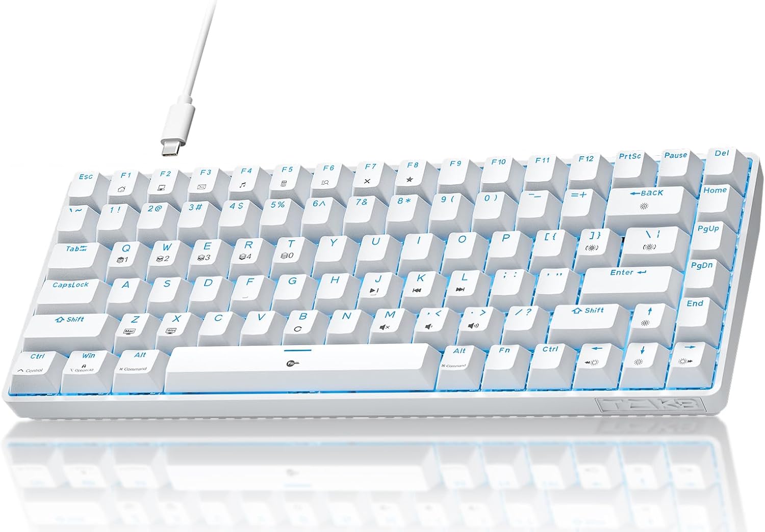 TMKB T84SE Gaming Keyboard,75% Mechanical Keyboard with Linear Brown Switch,Ice Blue LED Backlit, Detachable USB-C Cable,Full-Key Rollover for Computer/PC/Laptop/MAC,US Layout,White