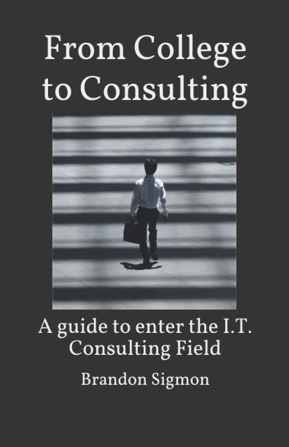 From College to Consulting: A guide to enter the I.T. Consulting Field