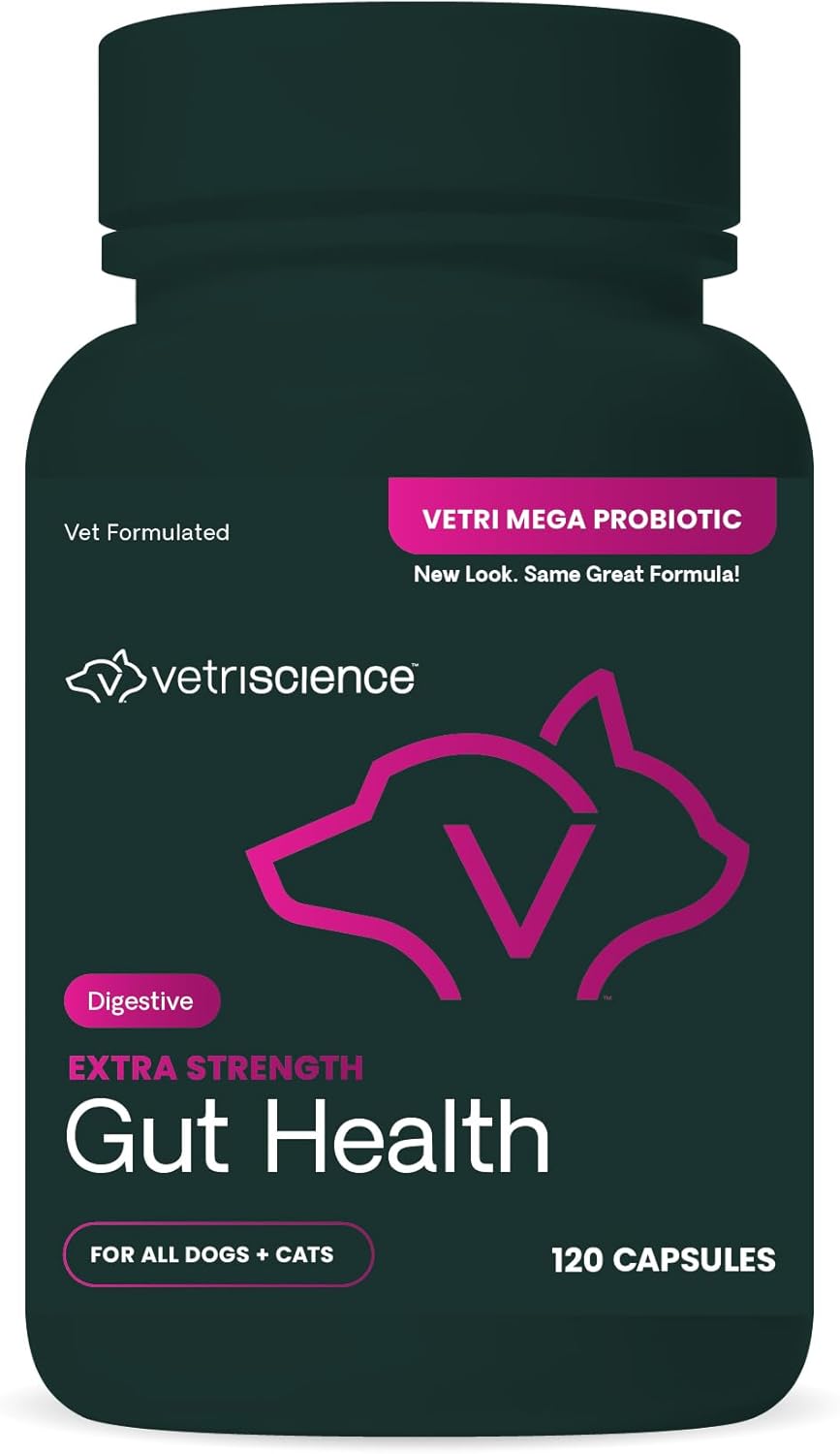 VetriScience Extra Strength Gut Health Easy-Open Capsules, Probiotic & Prebiotic Digestive Supplement for Dogs & Cats, Digestion, Gas & Diarrhea, Immune Support, 7.5 Billion CFU Per Capsule, 120 Count