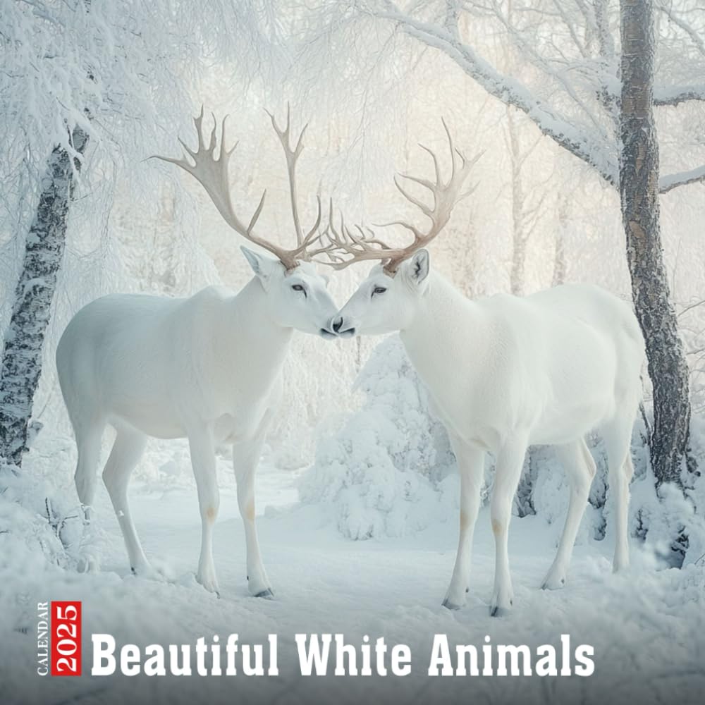 Beautiful White Animals Calendar 2025: A serene collection featuring beautiful white animals