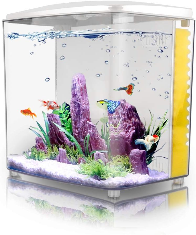 1.2Gallon Betta Aquarium Starter Kits Square Fish Tank with LED Light and Filter Pump