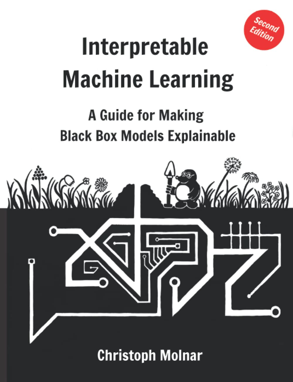 Interpretable Machine Learning: A Guide For Making Black Box Models Explainable