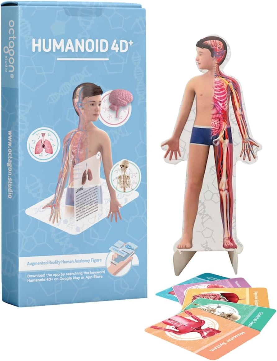 Humanoid 4D+ Interactive Human Anatomy Model – 3D STEM Learning Tool with Detailed Body Systems and Audio Narration