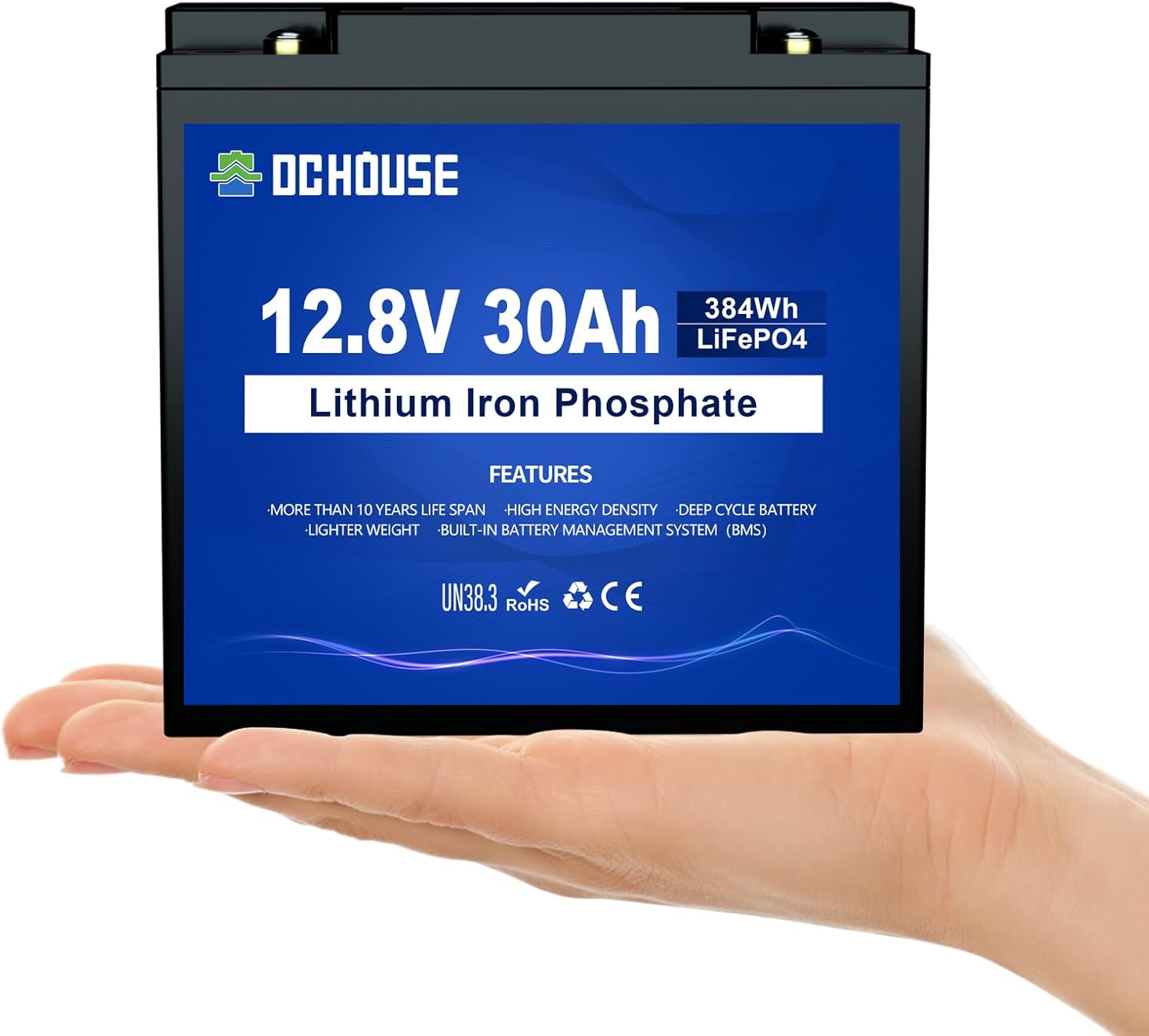 DC HOUSE 12V 30Ah Mini LiFePO4 Lithium Battery, BCI Group U1 with 30A BMS, 4000+Deep Cycles Perfect for Fish Finder, Trolling Motor, Kids Scooters, Power Wheel Chair,Boat, RV, etc