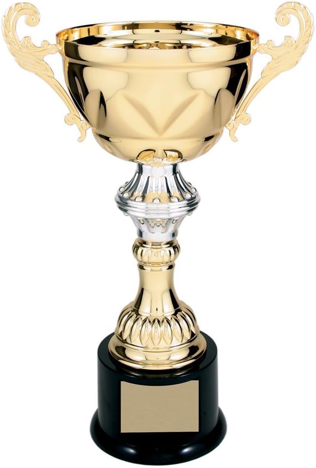 Decade Awards Cup Trophy, Gold and Silver | Engraved Metal Corporate Cup Award – Customize Now