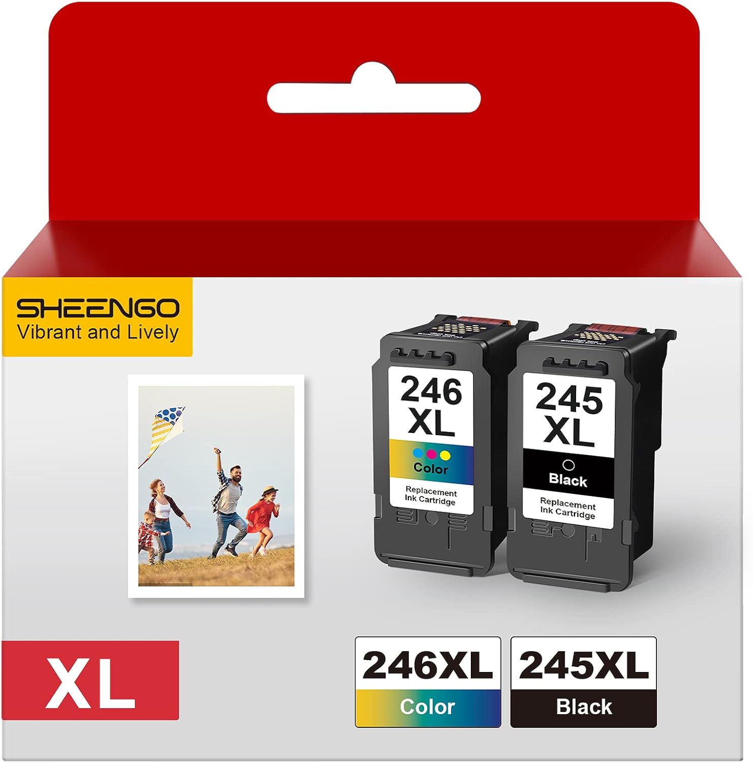 245XL Black and The 246XL Color Replacement for Canon 245XL 246XL Combo Pack Works for Canon Pixma MX490 MX492 MG2522 MG3022 MG2520 TS3100 TS3122 TS3300 TS3322 TR4522 Printer (1 Black, 1 Color)