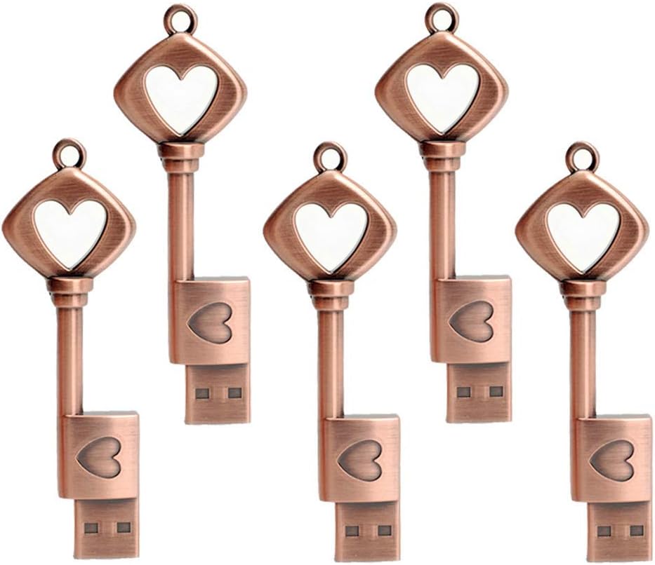 LEIZHAN 5 Pack 64GB Love Heart Key Flash Drive Vintage Thumb Drive Metal Jump Drive Cute Memory Stick Retro USB Stick Pendrive Valentine’s Day Gift U Disk