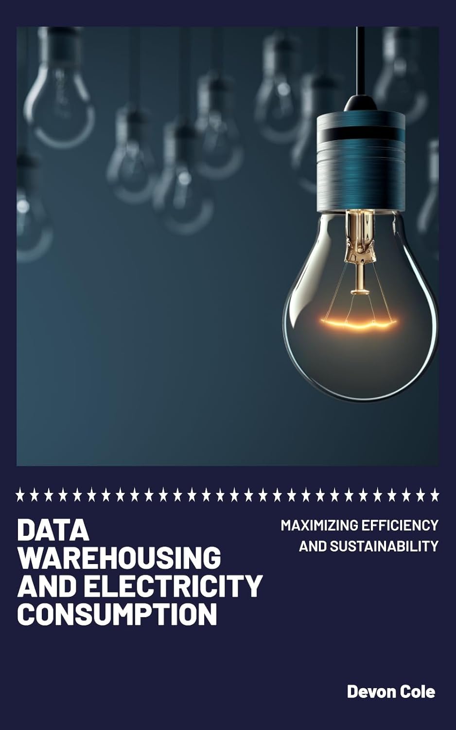 Data Warehouses and Electricity Consumption : Maximizing Efficiency and Sustainability