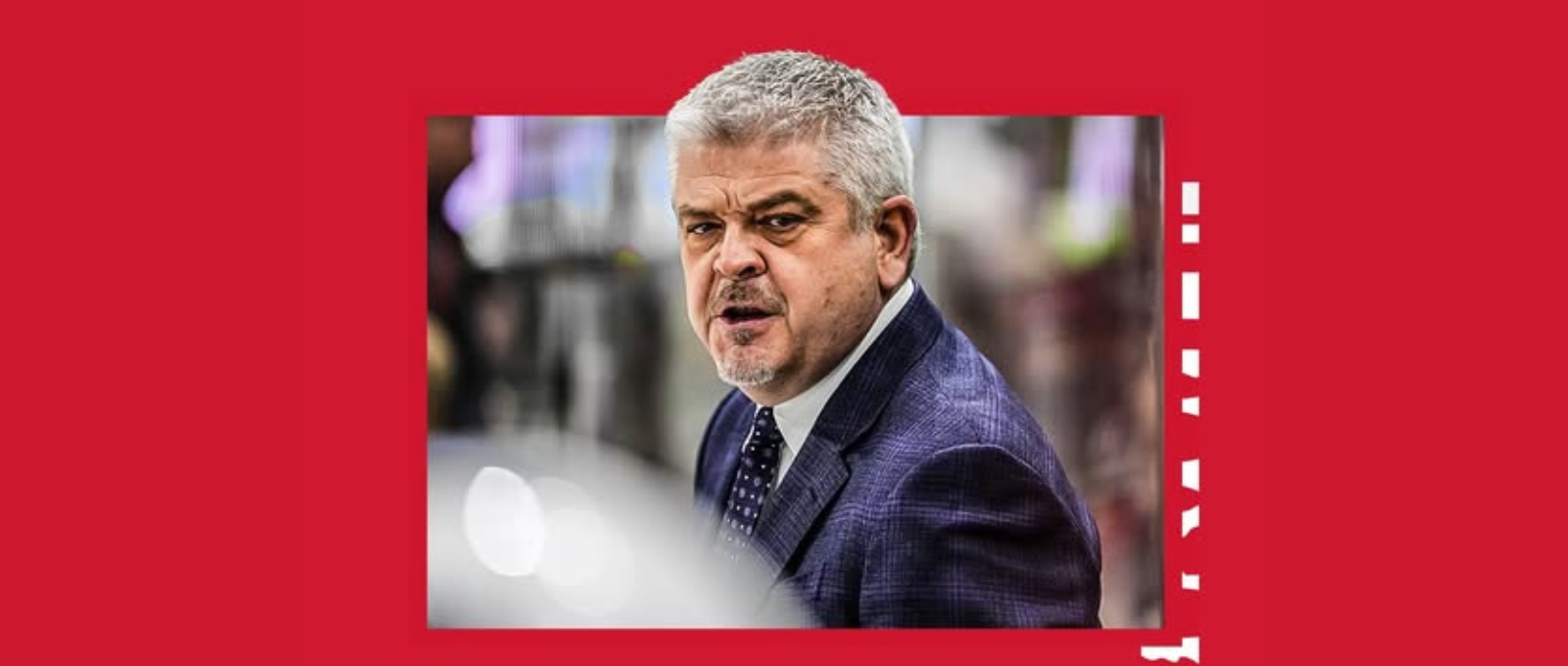 Red Wings Name Todd McLellan Head Coach