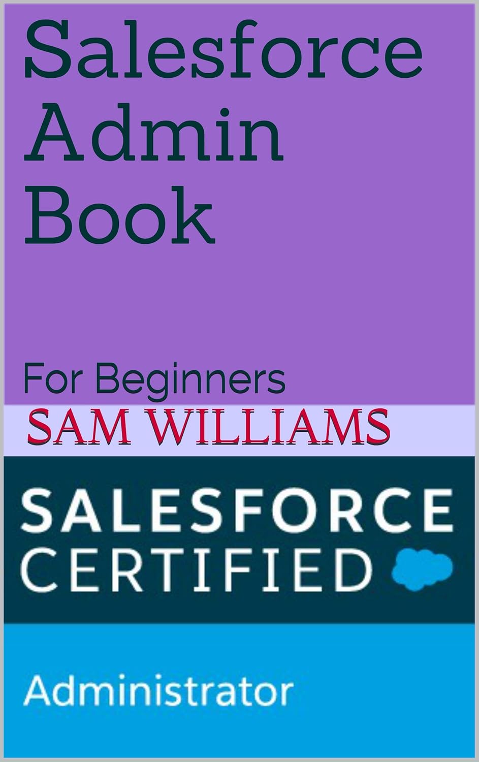 Salesforce Admin Book : For Beginners (Series 3)