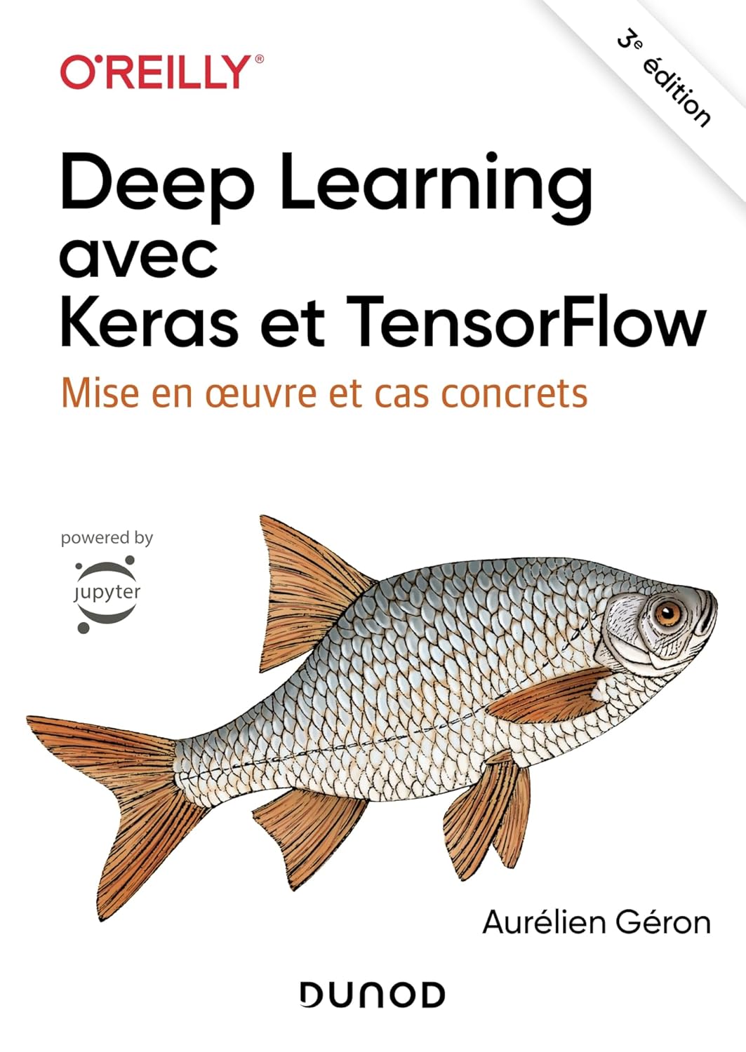 Deep Learning avec Keras et TensorFlow – 3e éd.: Mise en oeuvre et cas concrets