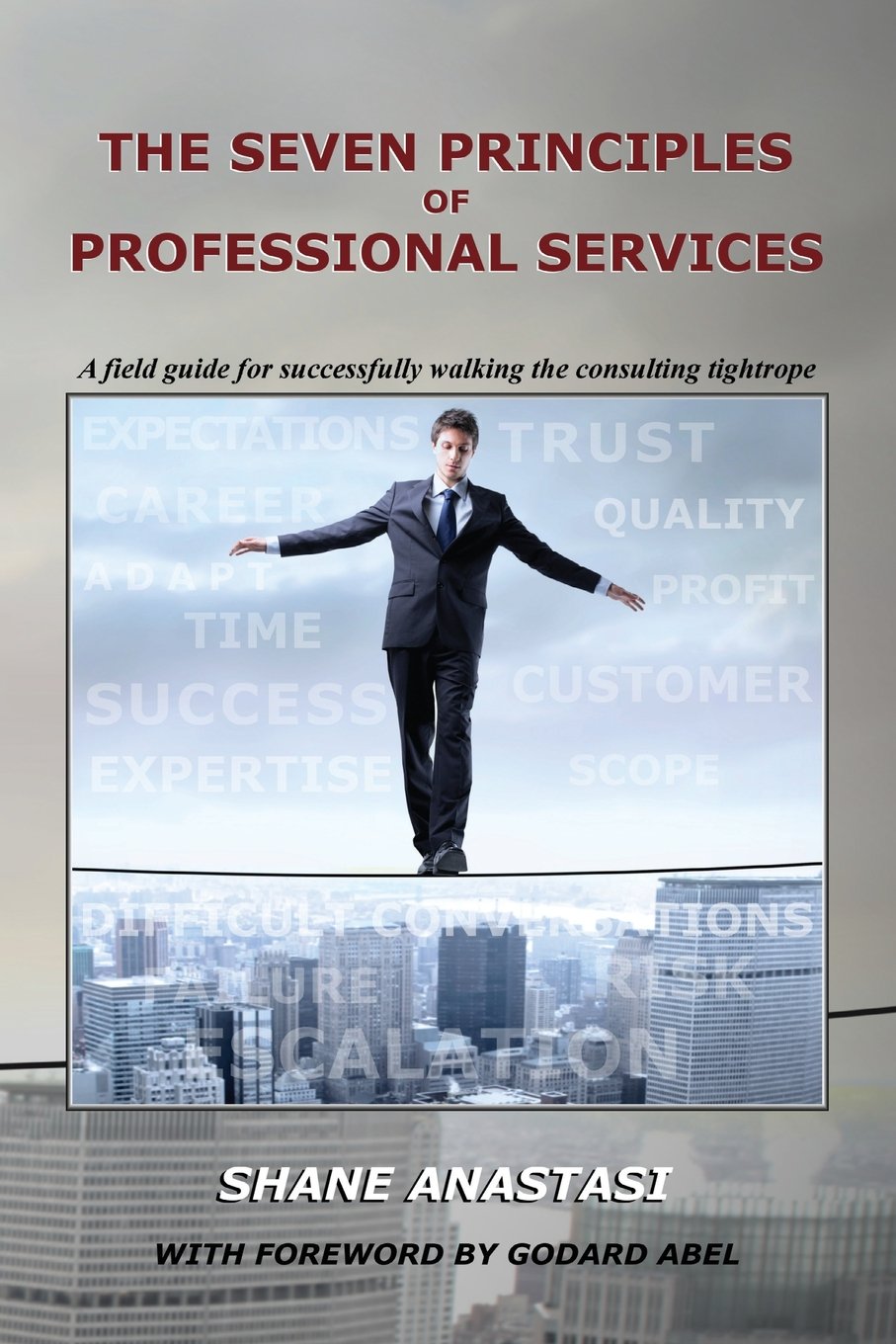 The Seven Principles of Professional Services: A field guide for successfully walking the consulting tightrope