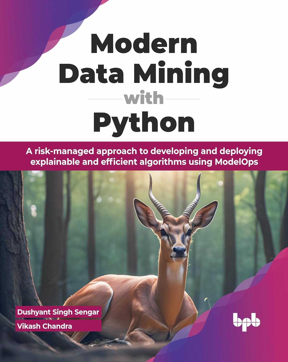 Modern Data Mining with Python: A risk-managed approach to developing and deploying explainable and efficient algorithms using ModelOps (English Edition)