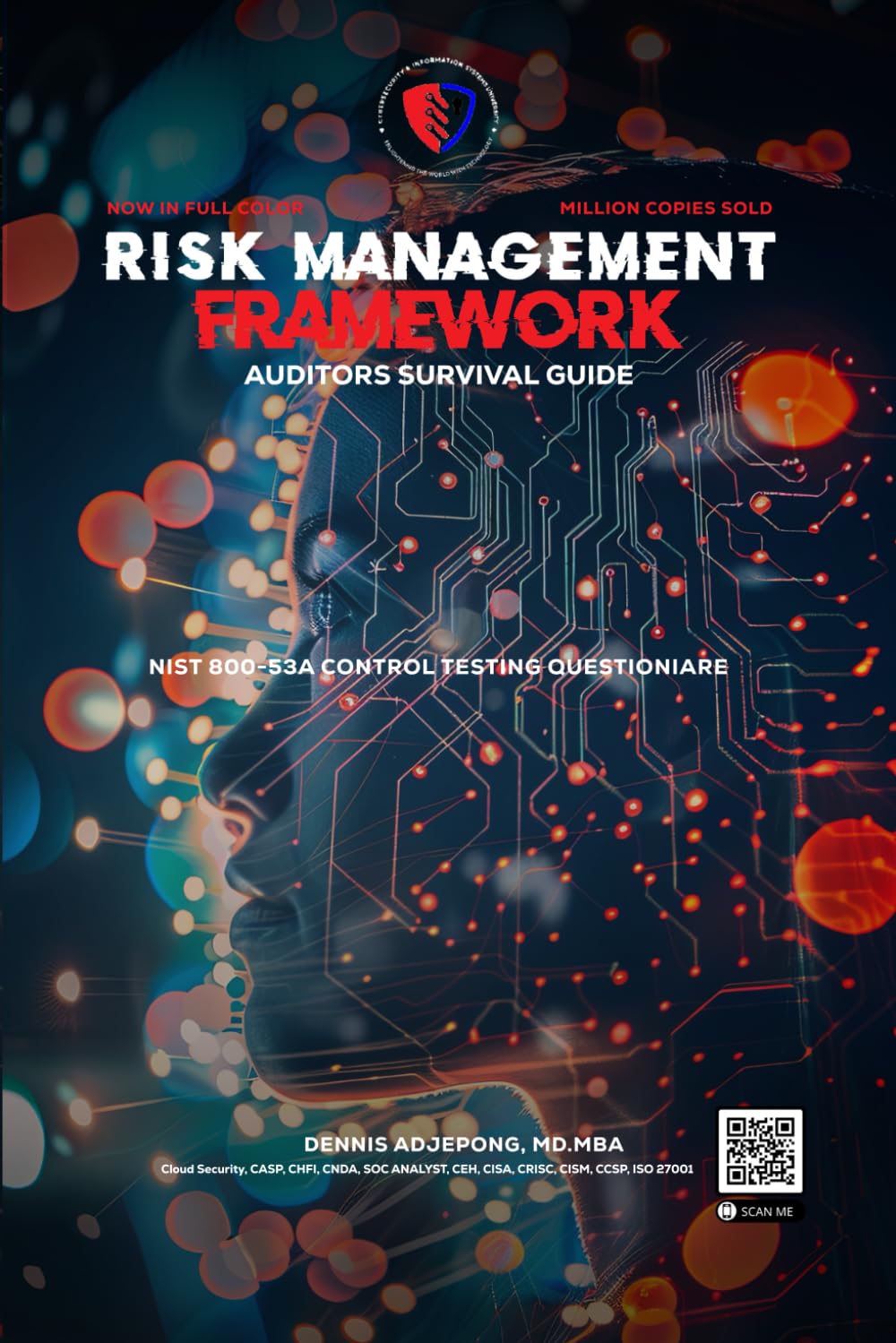 Risk Management Framework: Auditors’ Survival Guide