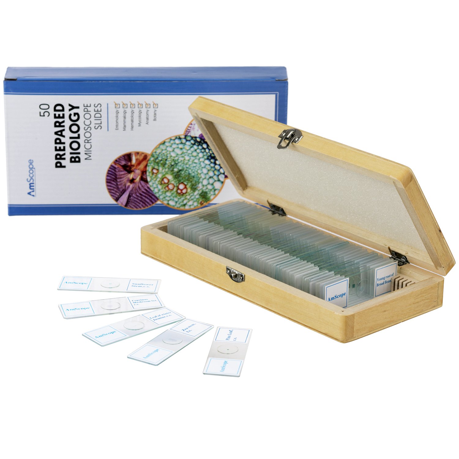 AmScope PS50A Prepared Microscope Slide Set for Basic Biological Science Education, 50 Biology and Pathology Slides, Includes Fitted Wooden Case