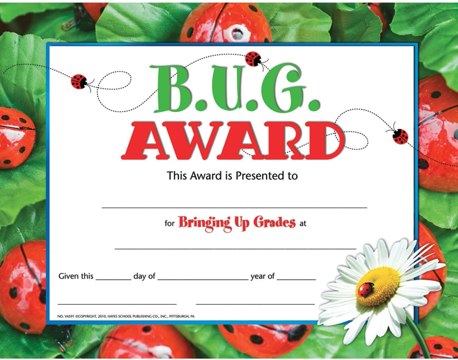 HAYES SCHOOL PUBLISHING B.U.G. Award Certificate, 8.5″ x 11″, Pack of 30, Multi, (H-VA591)