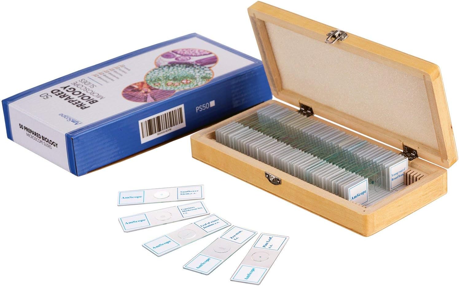 AmScope PS50 Prepared Microscope Slide Set for Basic Biological Science Education, 50 Slides, Includes Fitted Wooden Case