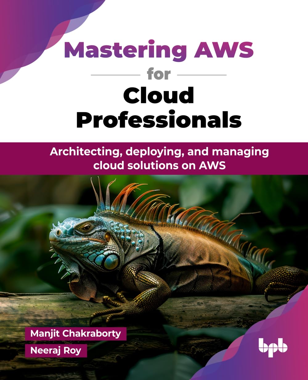 Mastering AWS for Cloud Professionals: Architecting, deploying, and managing cloud solutions on AWS (English Edition)