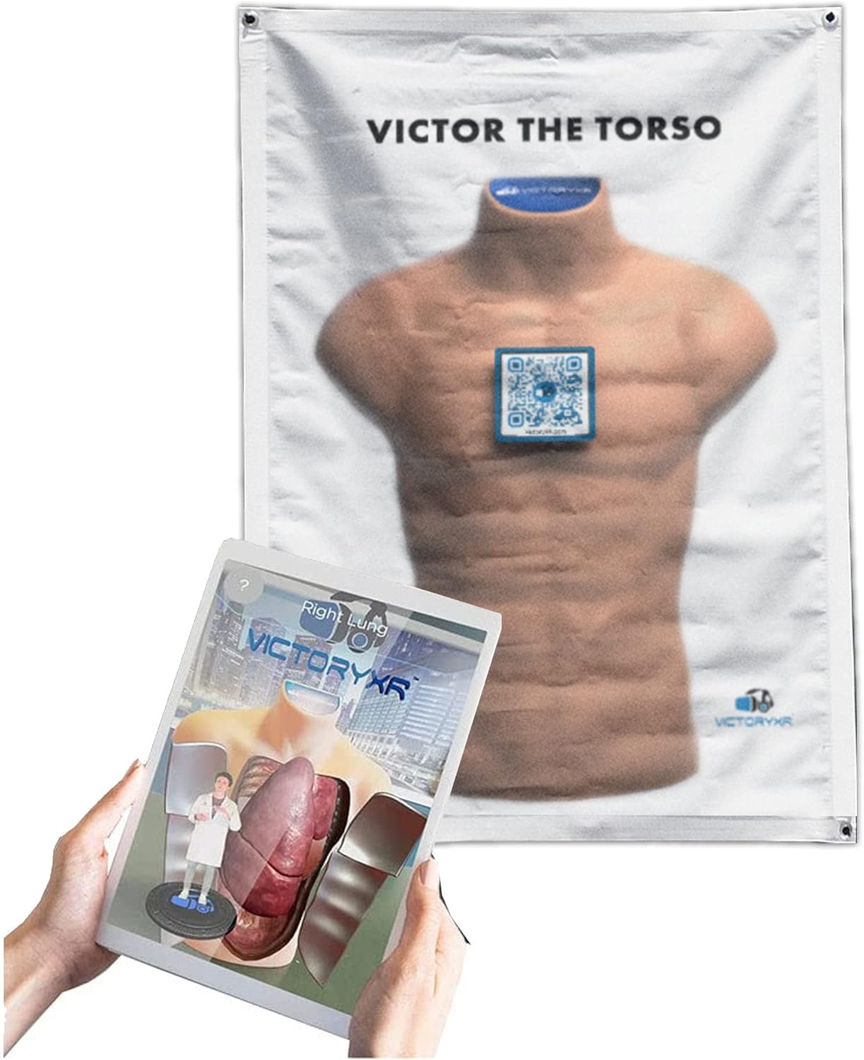 VictoryXR Victor The Torso: STEM 4d Human Anatomy Augmented Reality Learning Package | Human Torso Model (2D Banner)