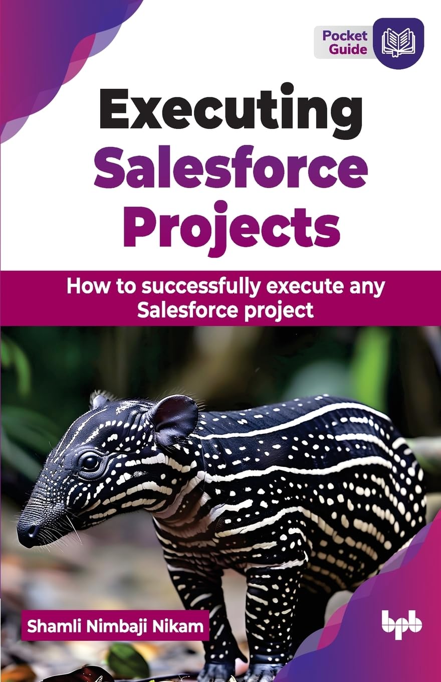 Executing Salesforce Projects: How to successfully execute any Salesforce project (English Edition)