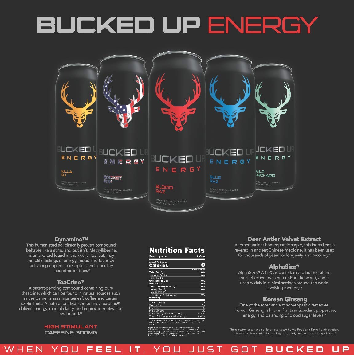 Extreme Energy Bucked Up Energy 2021 Flavors Zero Sugar Energy Drinks 16 Ounce Cans (Rocket Pop, 12 Cans)