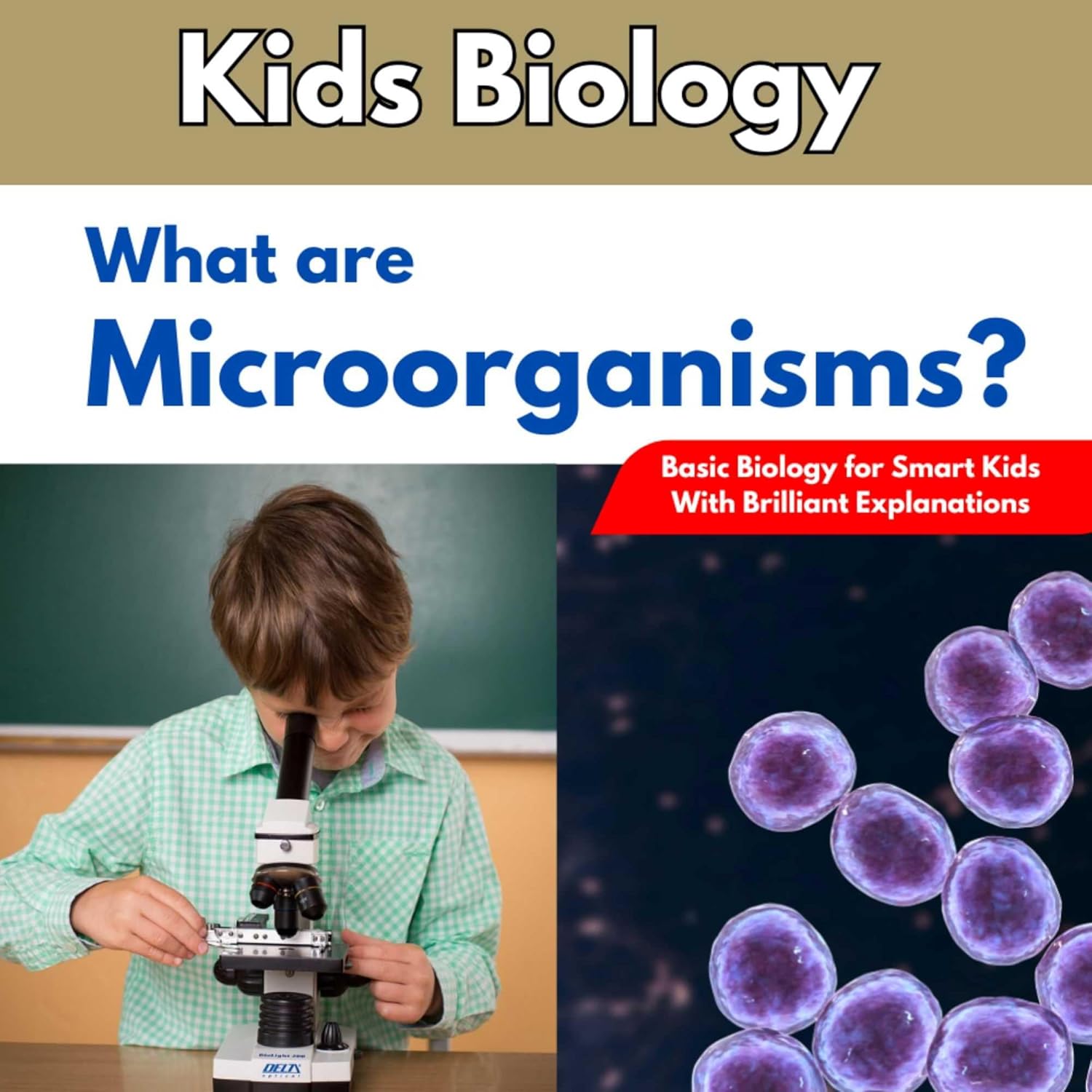 Kids Biology; What Are Microorganisms?: Basic Biology for Smart Kids With Brilliant Explanations