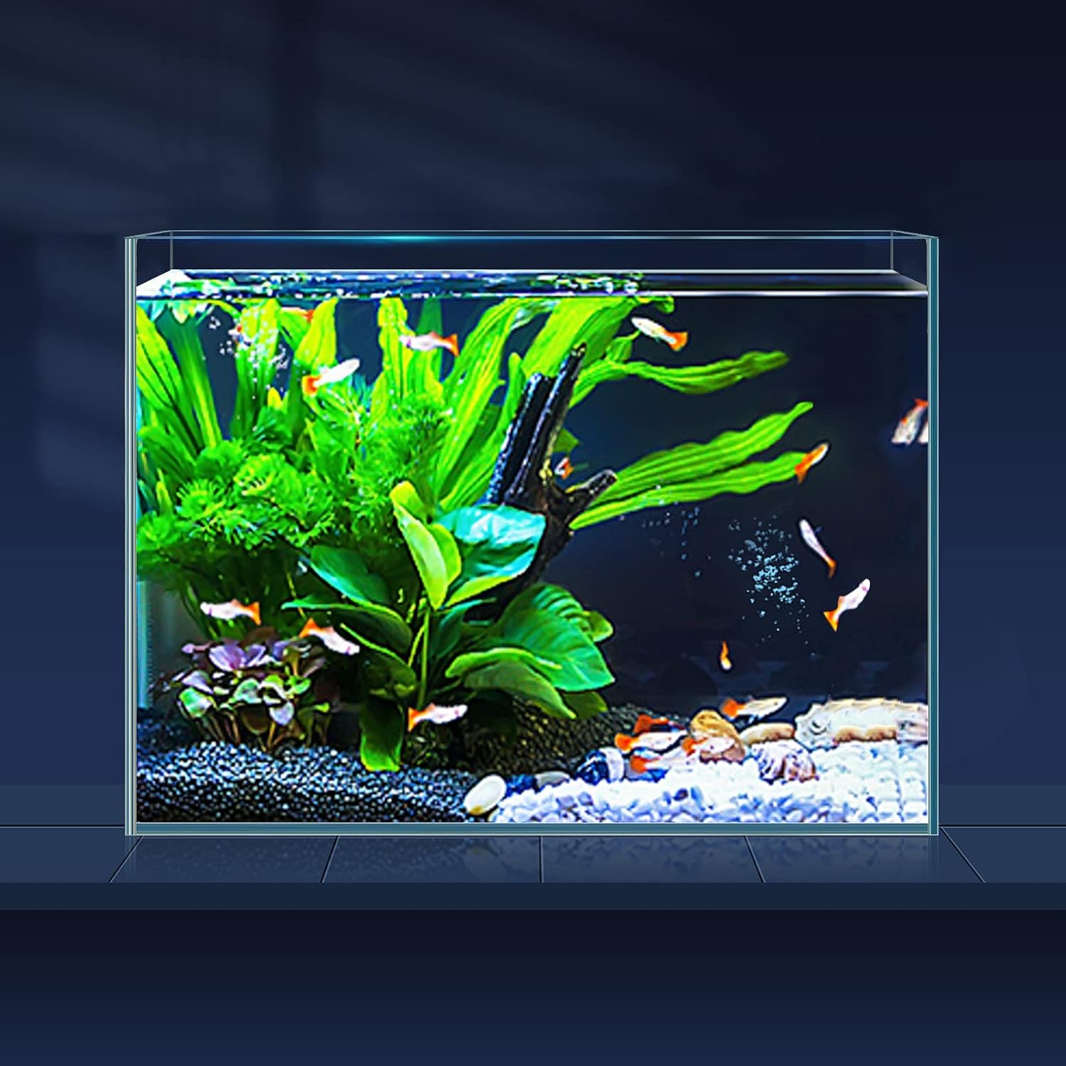 3 Gallon Ultra Clear Glass Fish Tank, Rimless Low Iron Aquarium for Betta/Nano/Goldfish/Snail/Shrimp, Small Fish Tank with Fish Net & Cleaning Tools