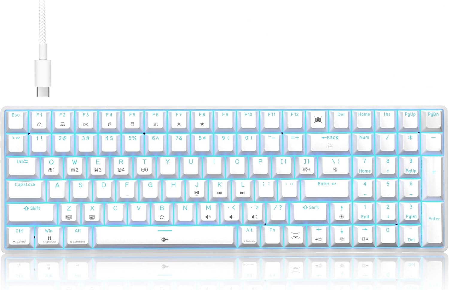 TMKB T98SE Mechanical Gaming Keyboard, Number Pad, LED Backlit, Programmable, Anti-Ghosting, Detachable USB-C Wired White Computer Keyboard for Windows Laptop PC Gamer Typist – Clicky Blue Switch