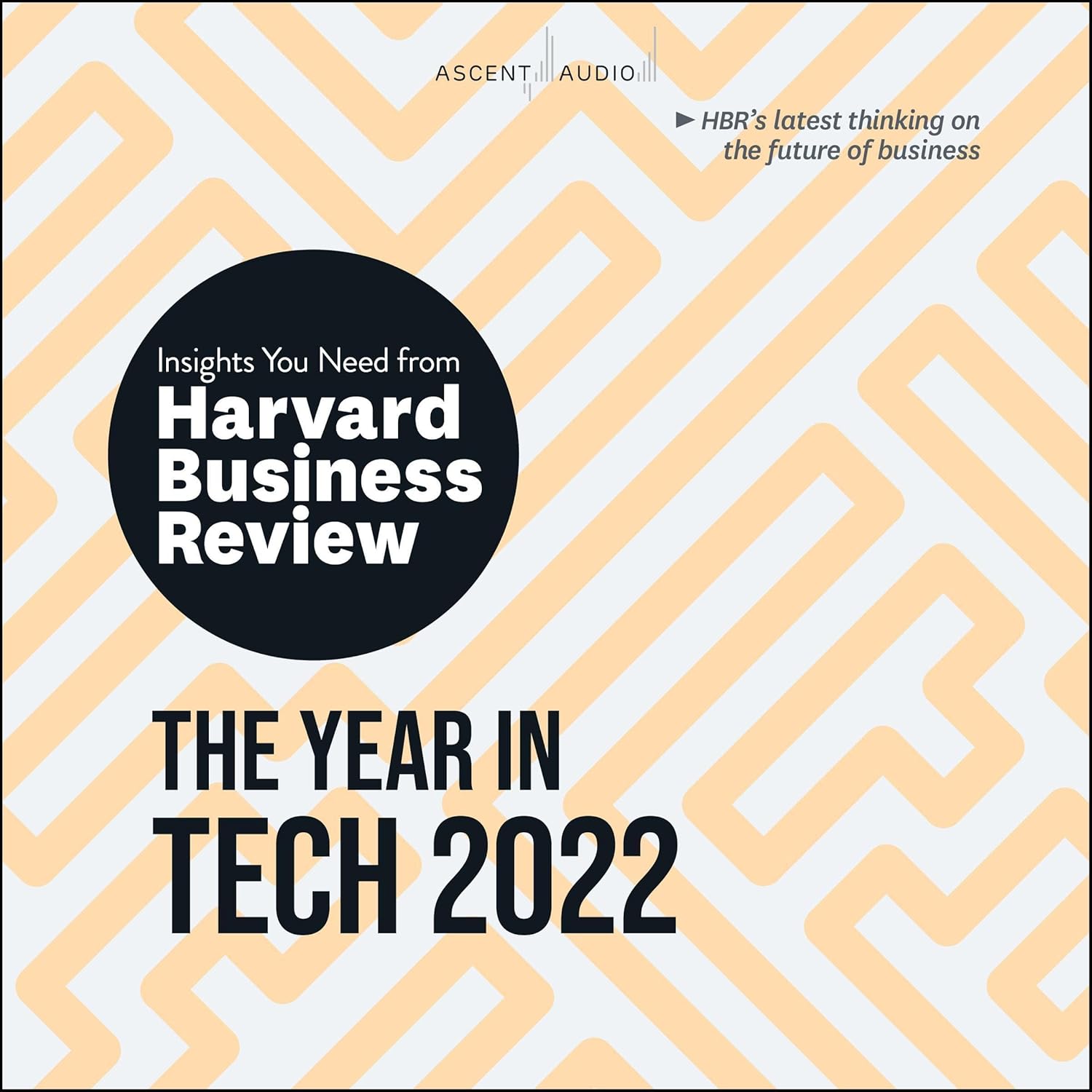 The Year in Tech, 2022: The Insights You Need from Harvard Business Review (HBR Insights Series)