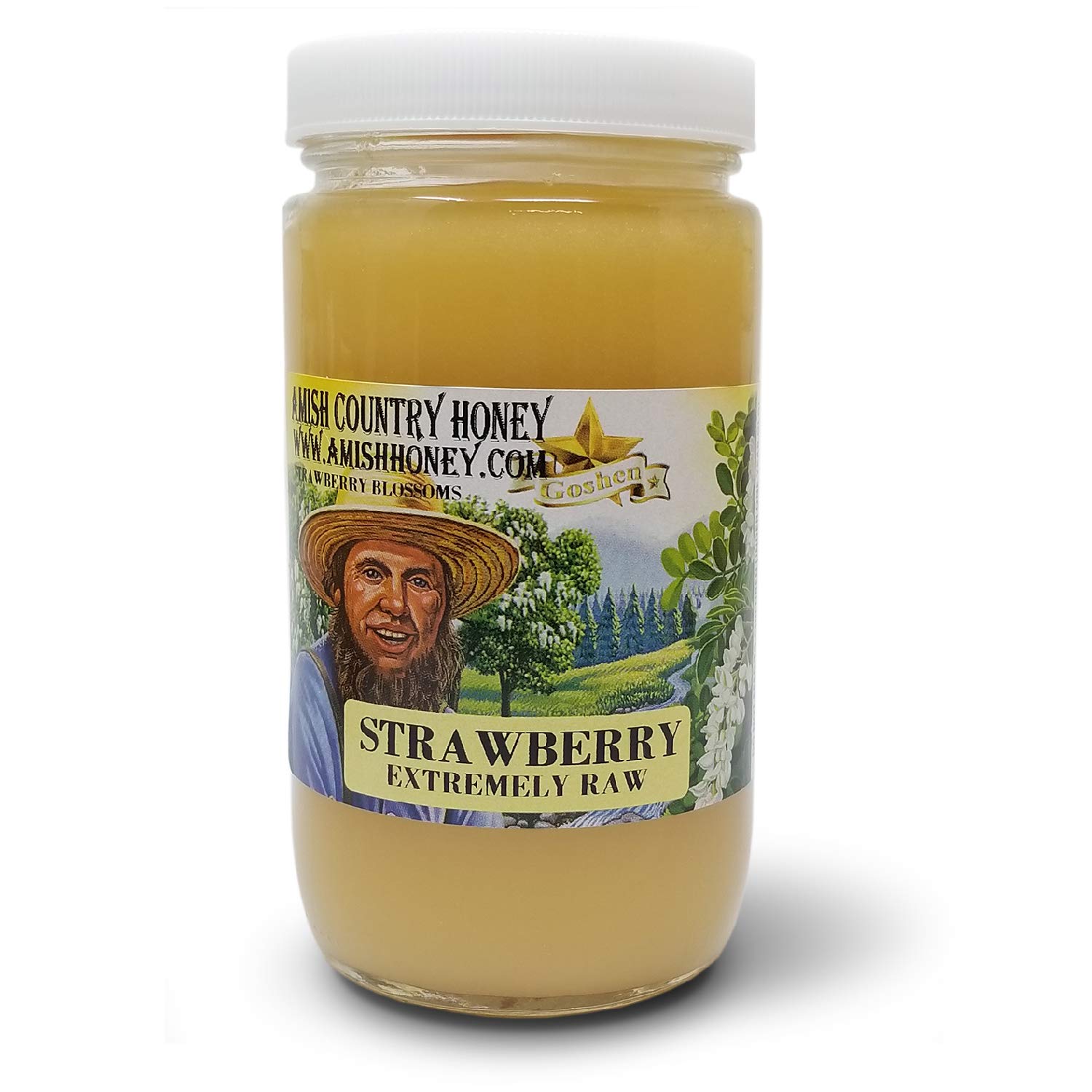 Goshen Amish Country Honey Extremely Raw STRAWBERRY Blossom Honey 100% Natural Honey Health Benefits Unfiltered OU Kosher Certified | 454 G Glass Jar