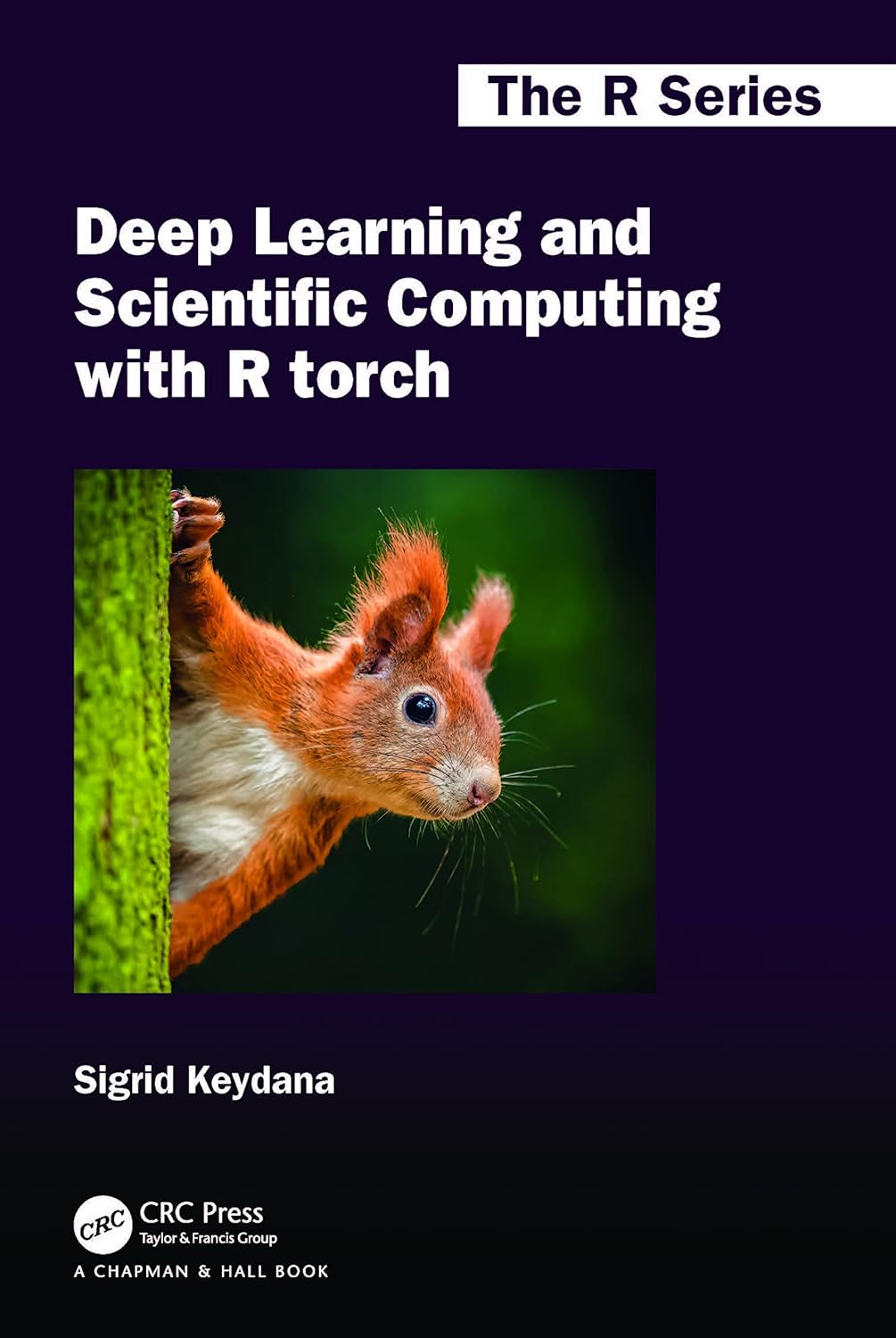 Deep Learning and Scientific Computing with R torch (Chapman & Hall/CRC The R Series)