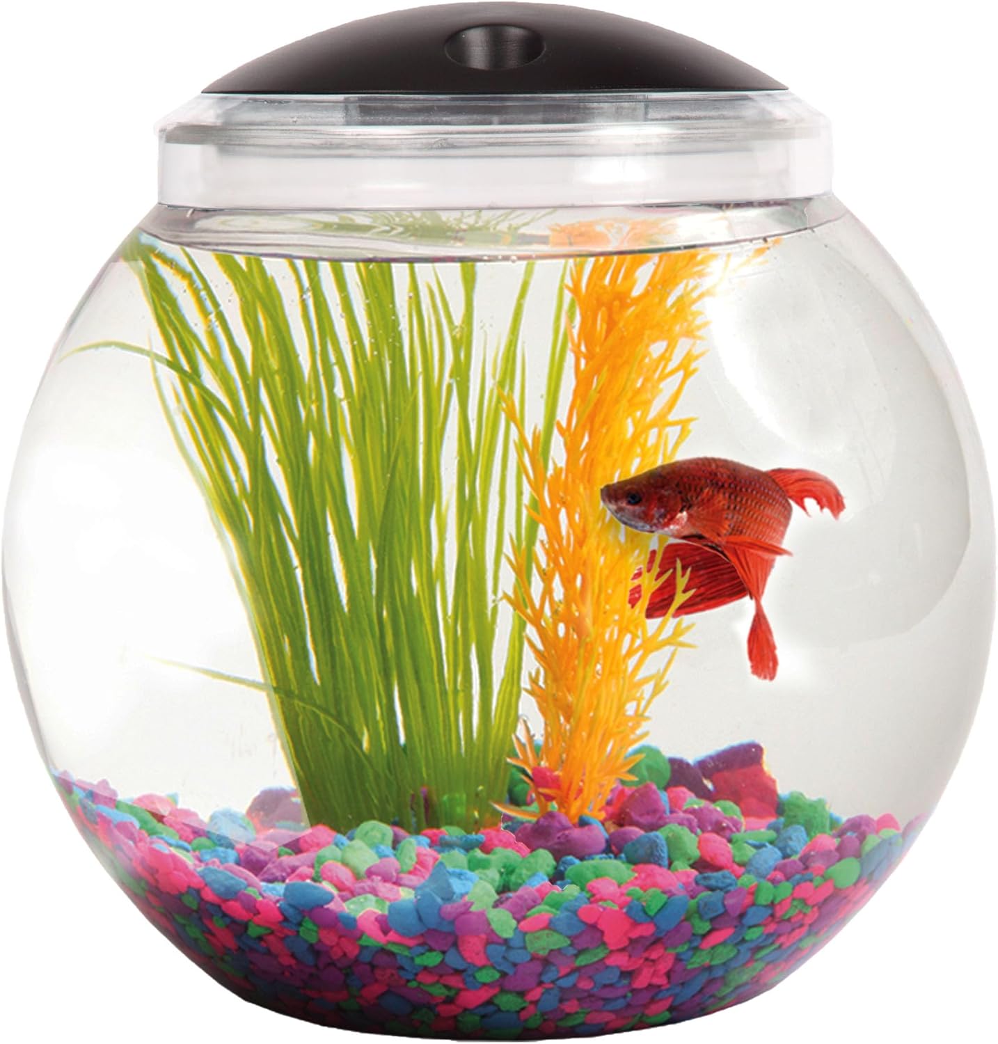 1-Gallon Globe Fish Tank with LED Lighting (7 Color Selections), Impact-Resistant Plastic