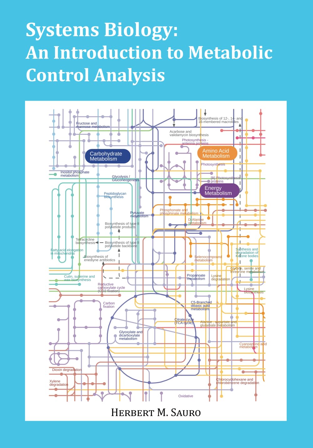 Systems Biology: An Introduction to Metabolic Control Analysis