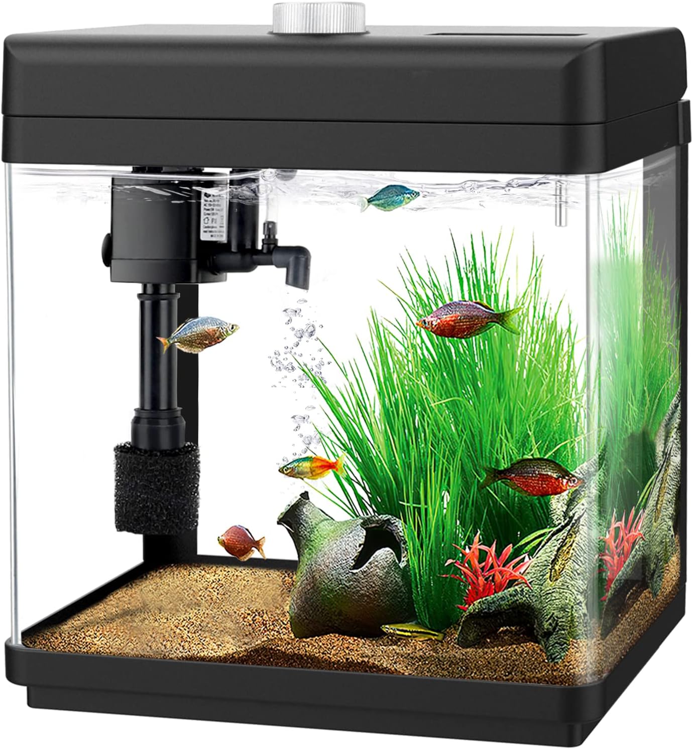 AQQA 1.5 Gallon Aquarium Kits Desktop Small Fish Tank with Filter and Light (8 Colors Adjustable) Freshwater & Saltwater Betta Fish Tank Kit Office & Home Decor (Black)