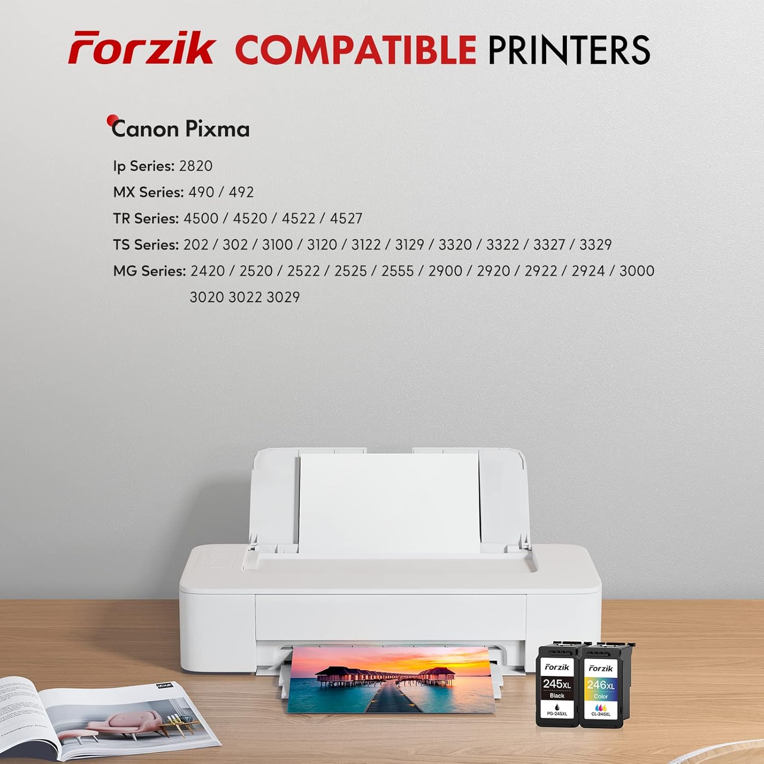 Forzik Remanufactured Ink Cartridge Replacement for Canon 245XL 246XL Black and Tri-color 2 Pack