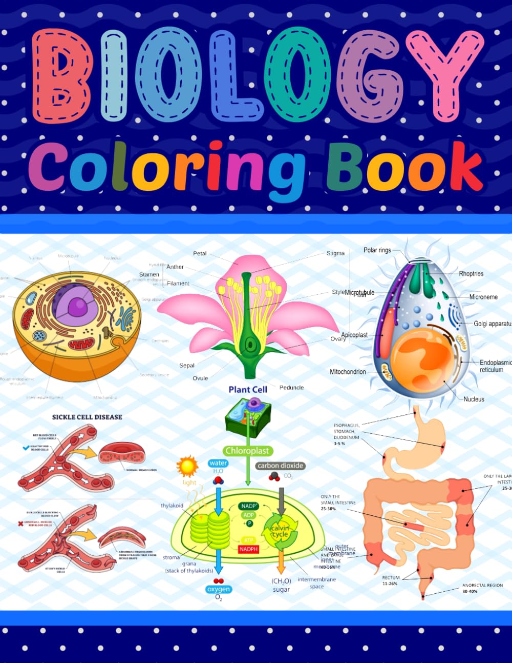 Biology Coloring Book: Learn The Biology in a Fun and Easy Way. It is Helpful for Biology Students, Teachers and Includes Cell Biology, Genetics, … Also Includes Common Diseases of Biology.