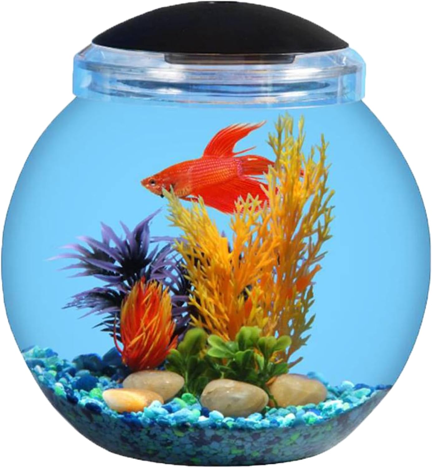 Koller Products 1-Gallon Globe Fish Bowl, Impact- Resistant Plastic Aquarium Starter Kits with LED Lighting, Buit-in Timer, Crystal-Clear Clarity, Desktop Fish Tank for Home Décor