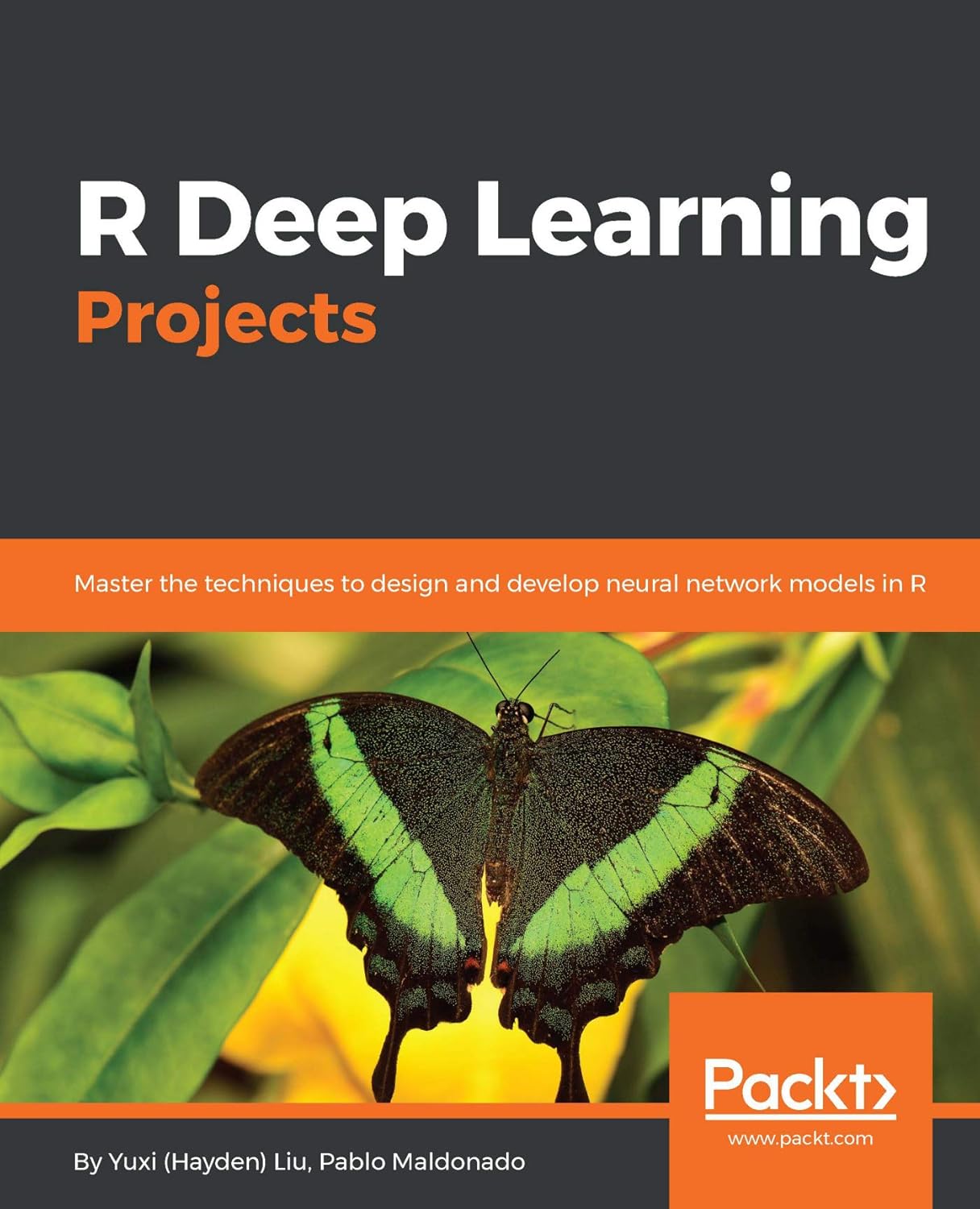 R Deep Learning Projects: Master the techniques to design and develop neural network models in R