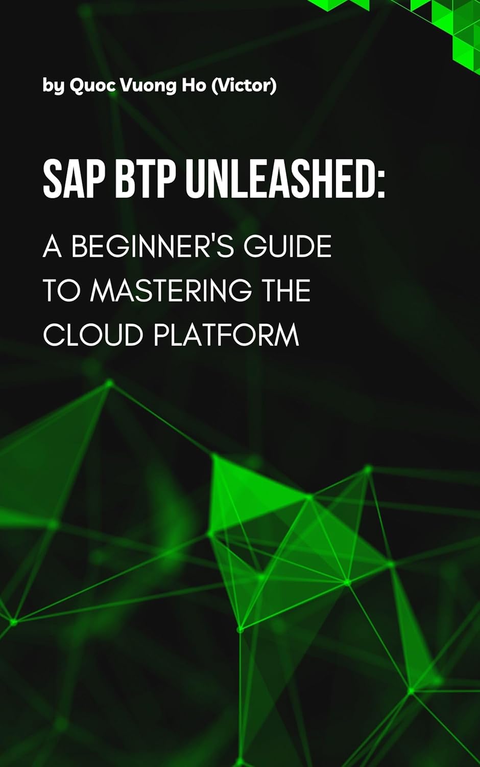 SAP BTP Unleashed: A Beginner’s Guide to Mastering the Cloud Platform: Unlock the Power of SAP’s Business Technology Platform with Practical Examples and Expert Insights (Grow with SAP BTP)