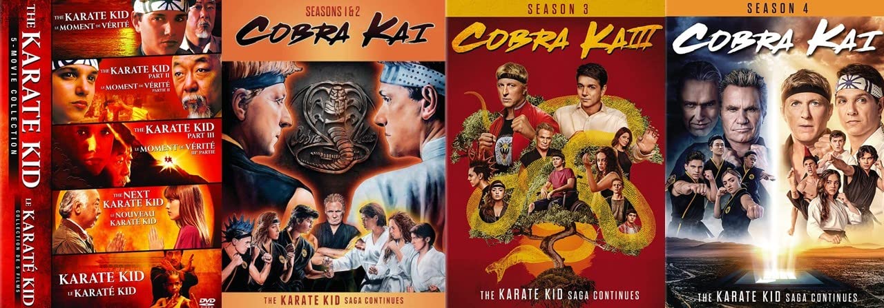 The Karate Kid : 5-Movie Collection / Cobra Kai – Season 1 2 3 & 4 [Martial Arts DVD 4-Pack]