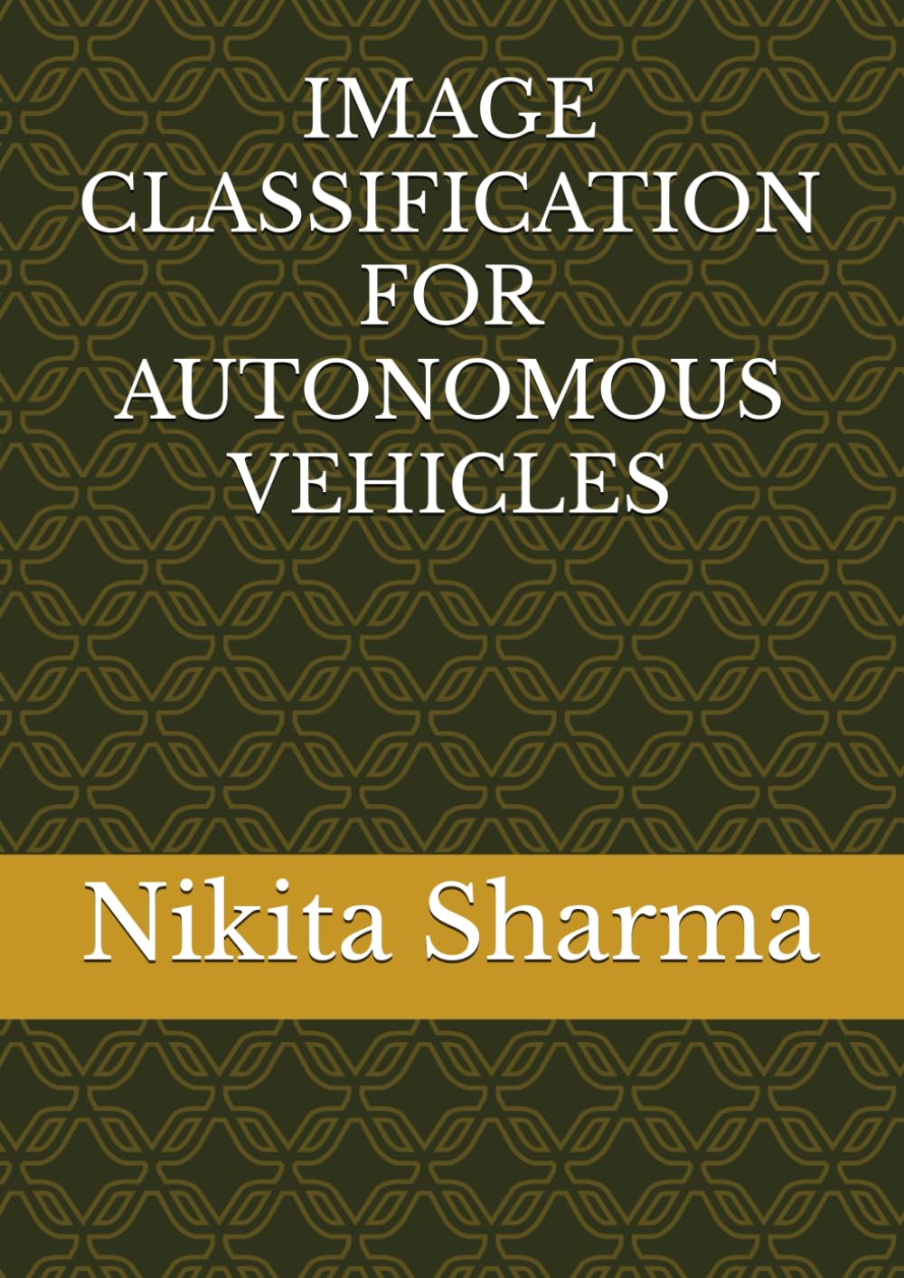 IMAGE CLASSIFICATION FOR AUTONOMOUS VEHICLES