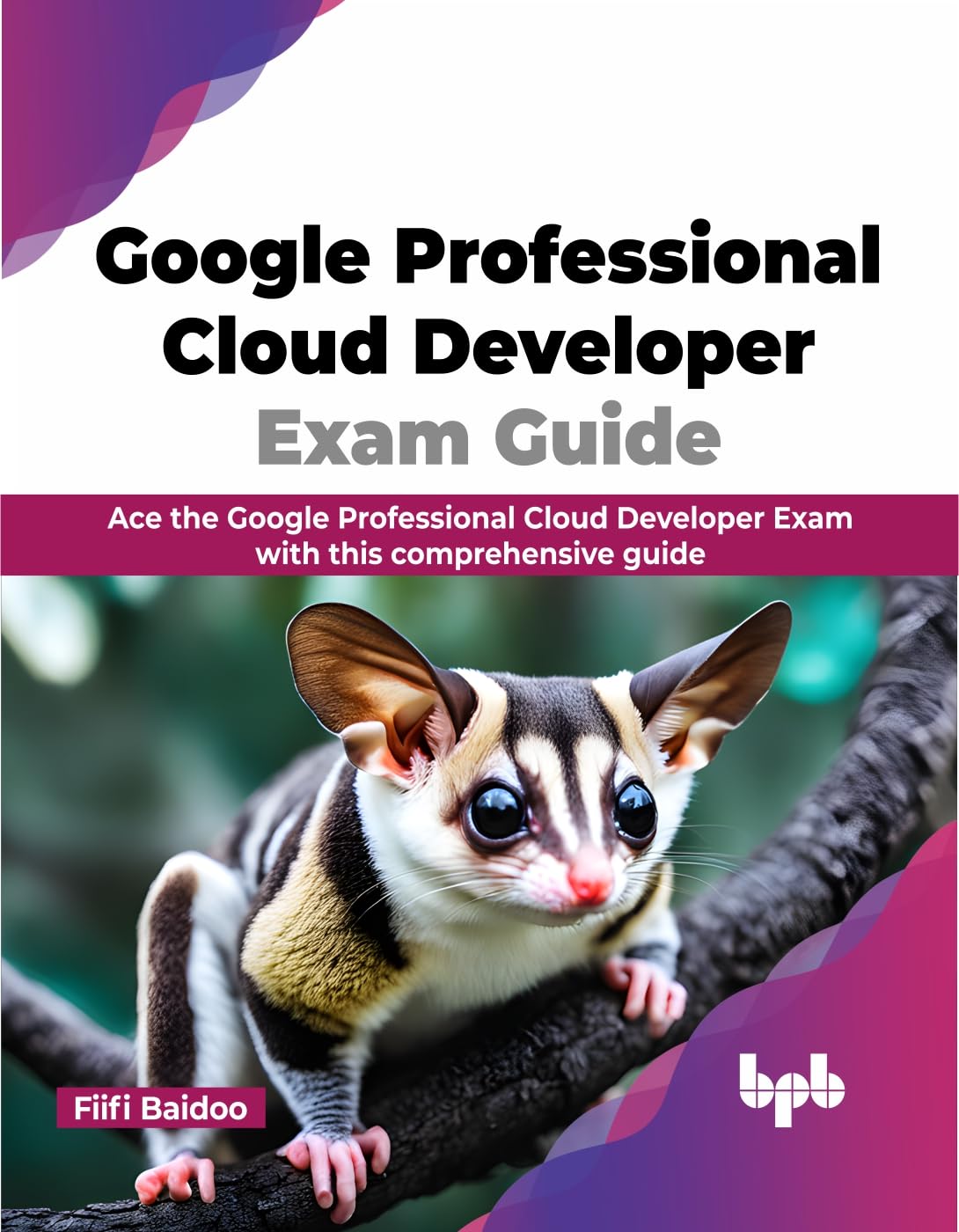 Google Professional Cloud Developer Exam Guide: Ace the Google Professional Cloud Developer Exam with this comprehensive guide (English Edition)