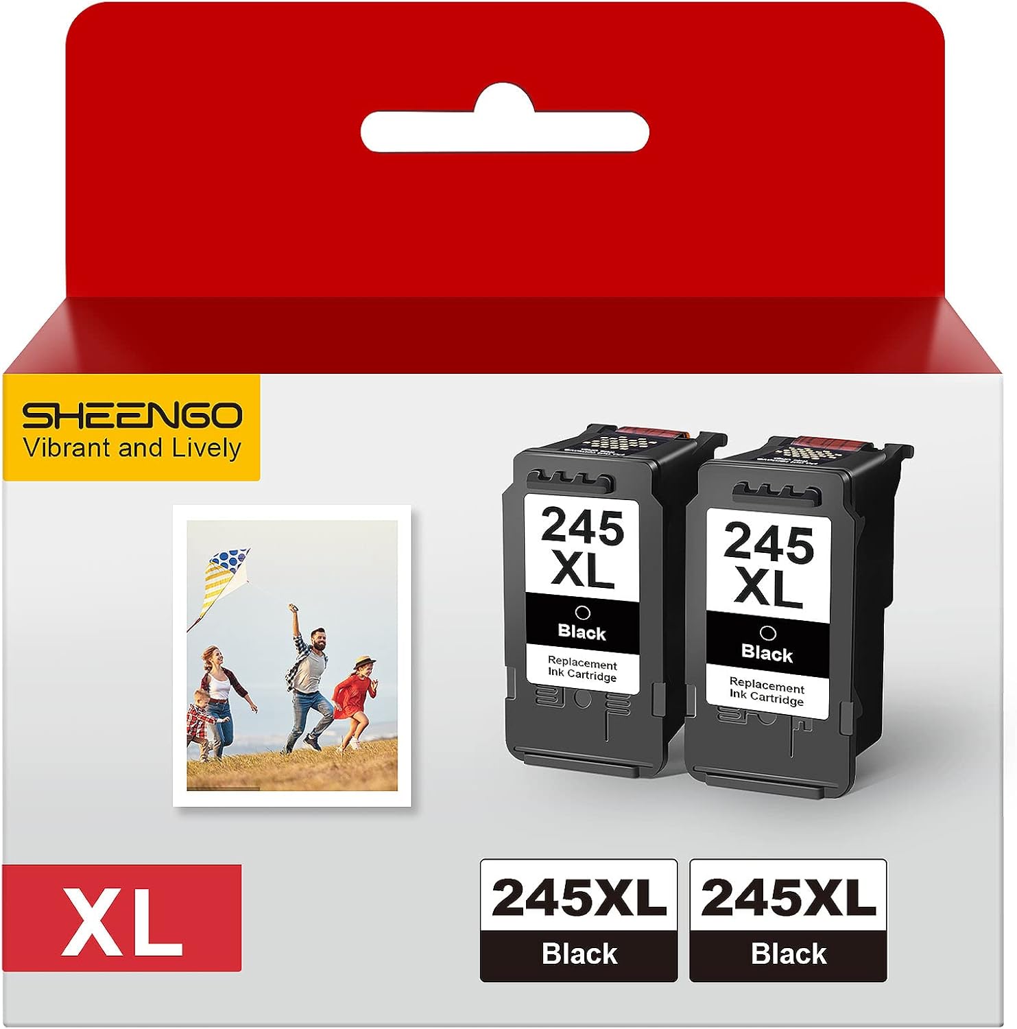 245XL Ink Cartridges Replacement for Canon 245XL Black Ink Cartridges 245 XL PG-245 PG-245XL for Canon Pixma MX490 MX492 MG2522 TR4520 TS3322 TS202 MG2500 TS3122 TR4500 Printer（2 Black）