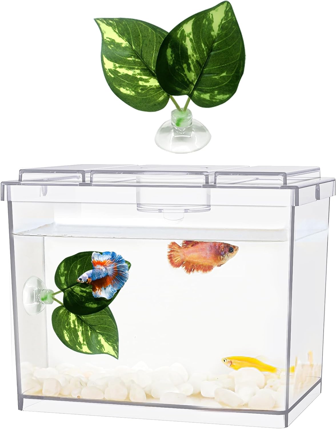 Mini Betta Fish Tank, Small Fish Bowl for Temporary Space, 0.2 Gallon Stackable Cube Tank with Betta Leaf and Gravels for Small Fish, Insect, Shrimp, Crab, Spider.(Pack-1)