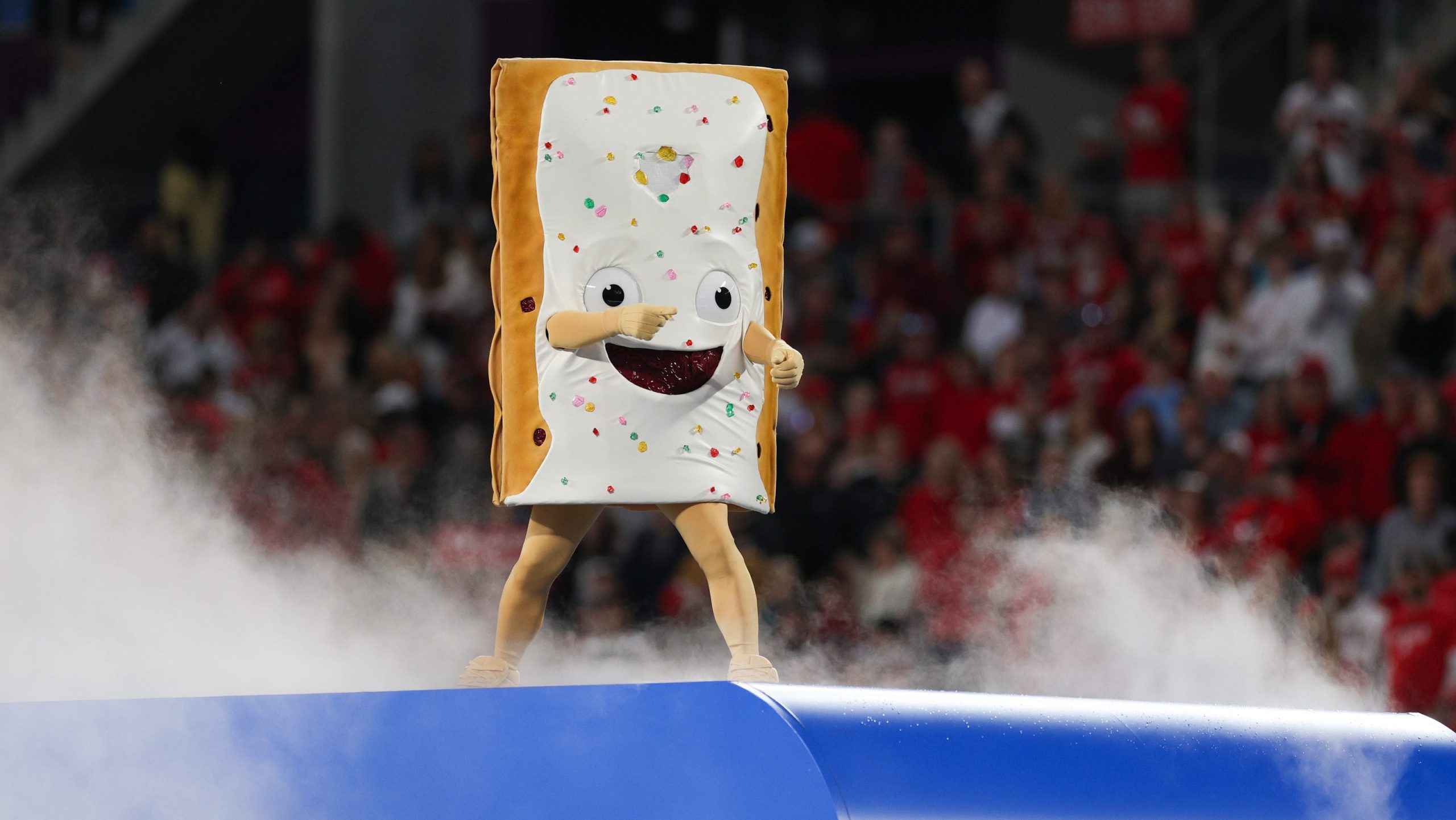 Is mascot edible? Explaining mascot, flavors