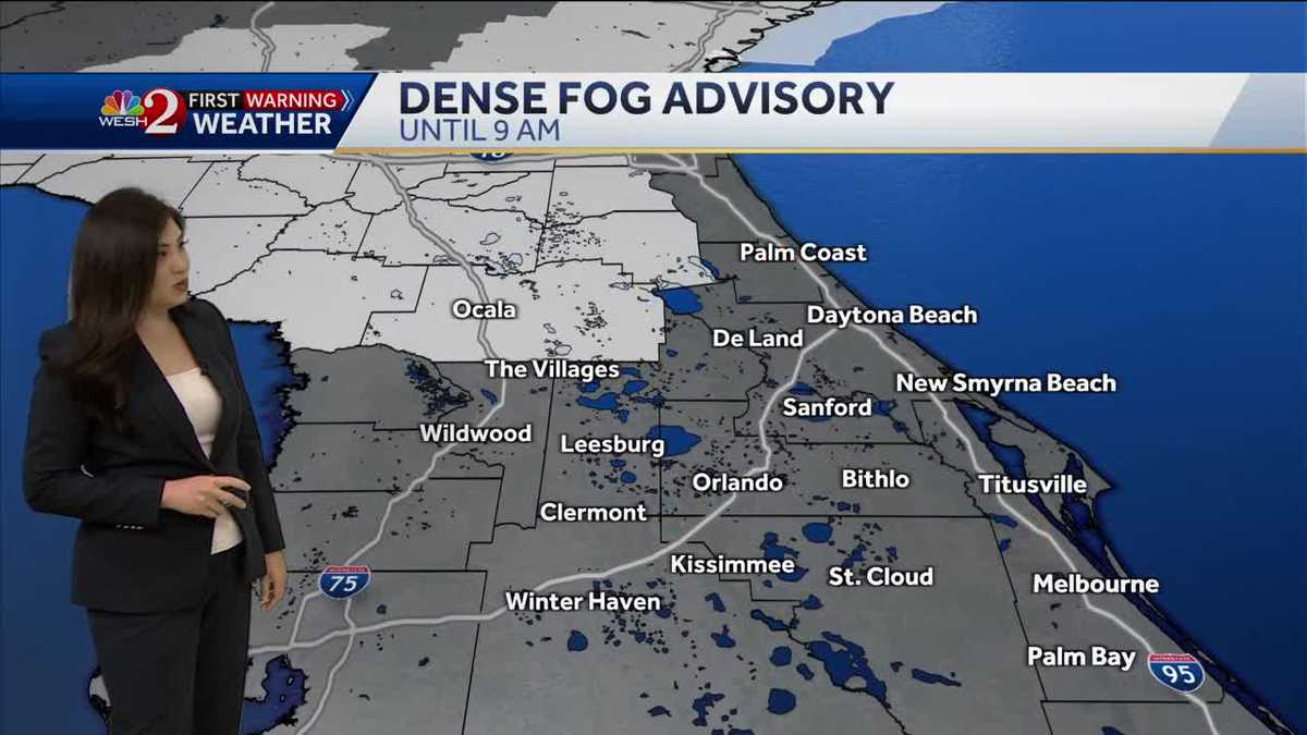 Foggy, muggy morning will give way to warm, sunny afternoon