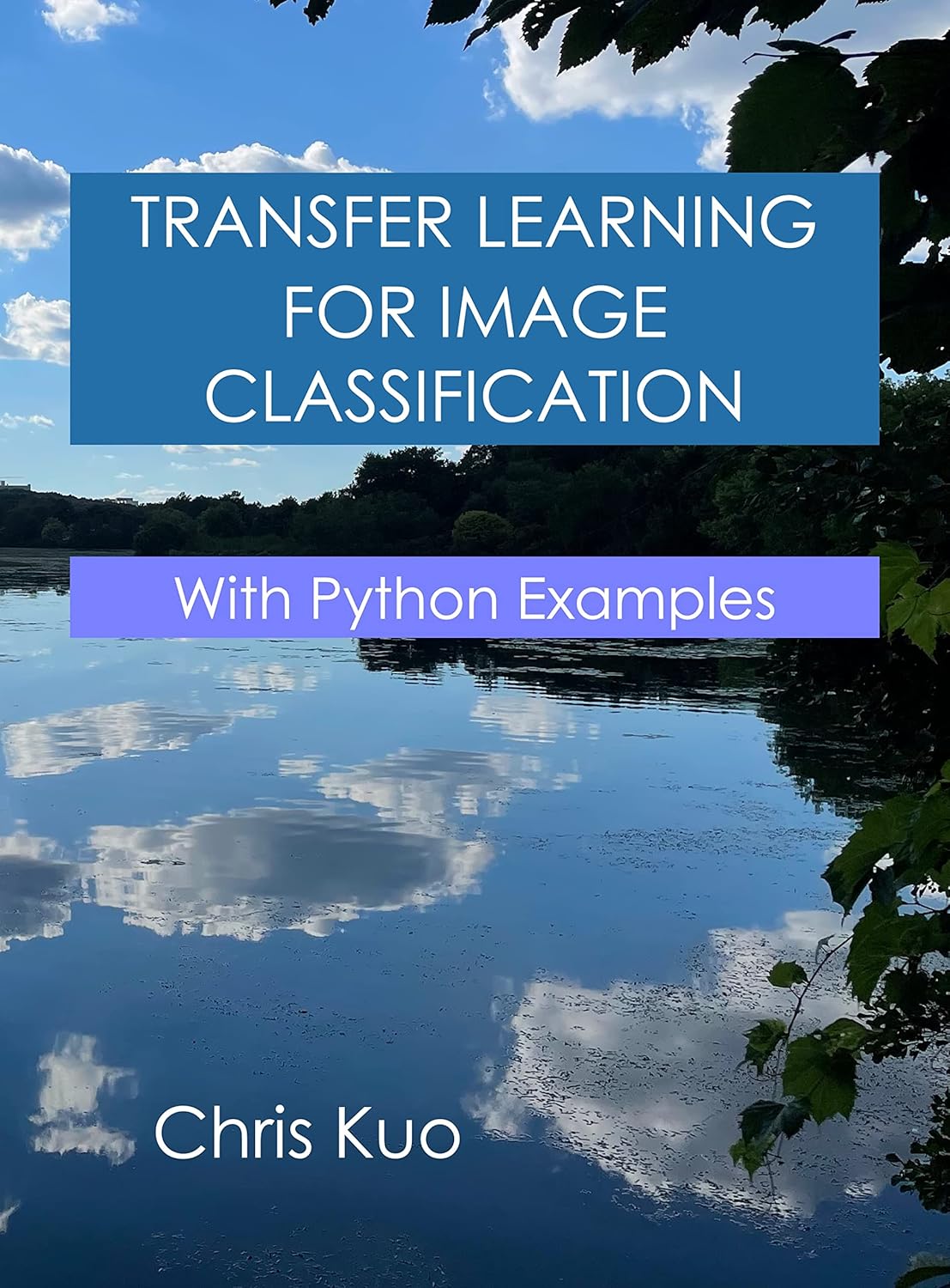 Transfer Learning for Image Classification: With Python Examples