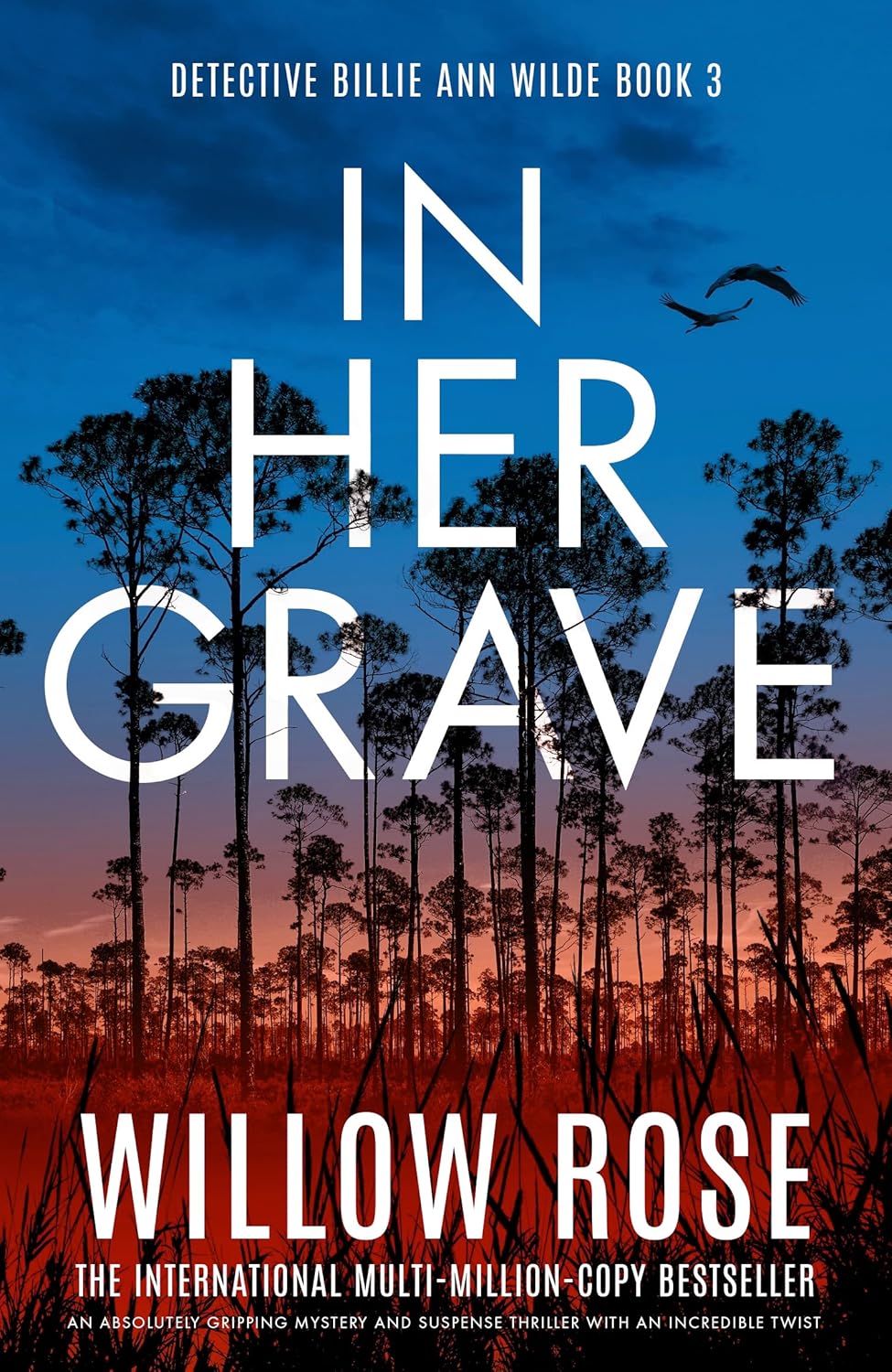 In Her Grave: An absolutely gripping mystery and suspense thriller with an incredible twist (Detective Billie Ann Wilde Book 3)