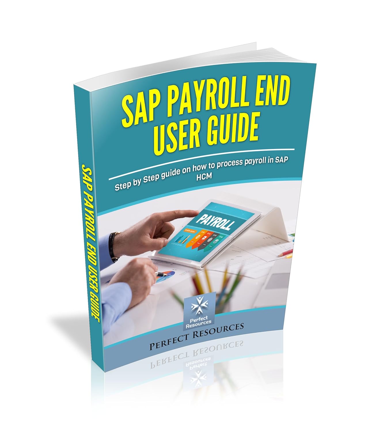 SAP Payroll End User Guide: Step by step guide on how to process payroll in SAP HCM